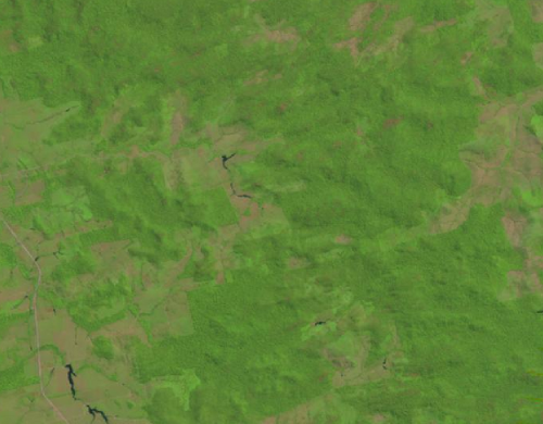 Satellite image of deforestation in the Amazon basin