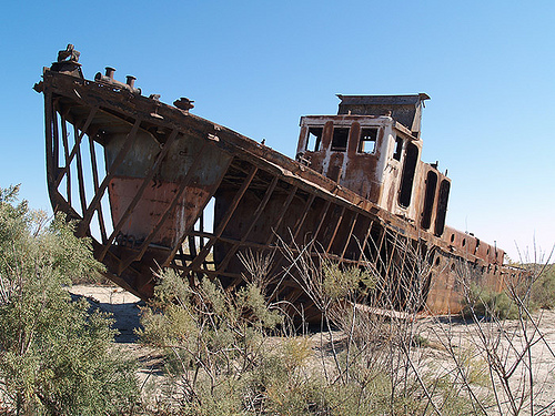 The rusted skeleton of a ship sits on white desert sand, surrounded by scrubby bushes.