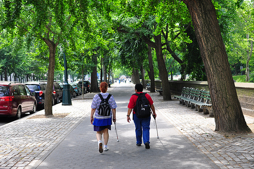 Two people using white canes walk away from the viewer down a broad sidewalk flanked by trees.