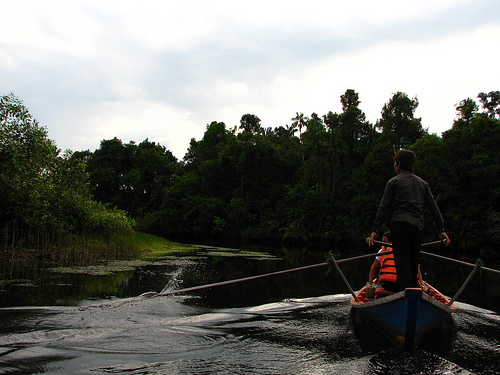 A man in gray operates the long oars of a boat carrying two other peopl. The boat is headed away from the viewer up a tree-lined stream.