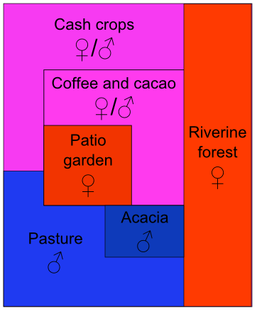 Diagram of gendered spaces on a farm in the Dominican Republic