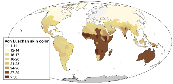 Map Of Human Races Overview Of Human Geography: Race And Ethnicity